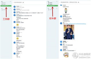 原創(chuàng)新人省小錢辦大事 群暉DS216 II網(wǎng)絡(luò)存儲(chǔ)NAS服務(wù)器搭建數(shù)據(jù)中心靠譜嗎？
